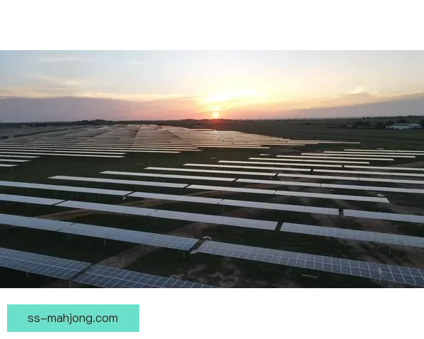 2026世界杯休斯顿赛区全面采用太阳能供电助力绿色环保赛事